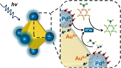 廈門大學ACS Catalysis: 位點選擇性雙金屬異質納米結構，實現高效光催化硝基苯加氫反應