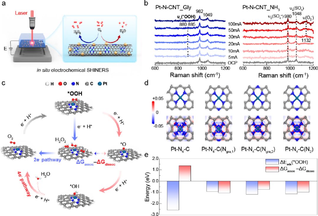 上海交大，最新JACS！