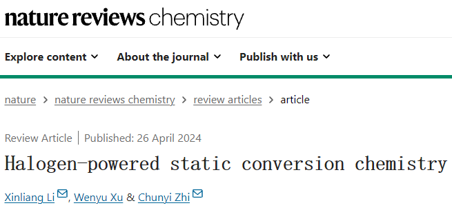 支春義/李新亮，最新Nature Reviews Chemistry！