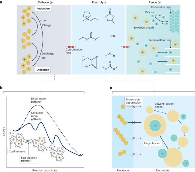 支春義/李新亮，最新Nature Reviews Chemistry！