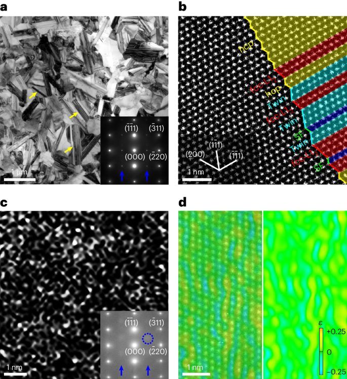 中科院力學所武曉雷，今日重磅Nature Materials！