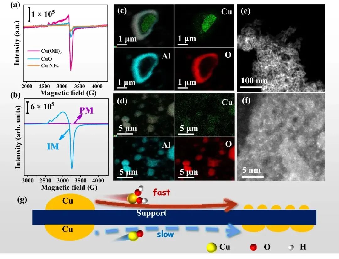 大連化物所傅強團隊，最新Nature子刊！