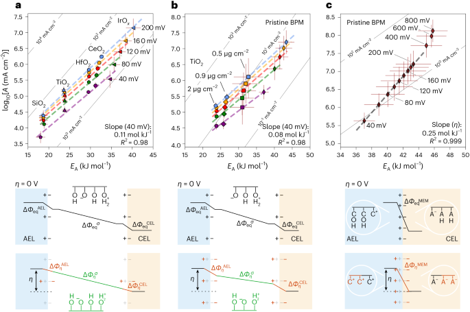 Nature Energy：固體電解質界面離子溶劑化的動力學研究