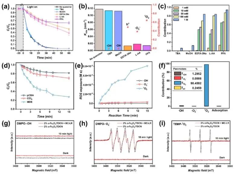 ?湖大/中南林科大ACS Catalysis：構建α-Fe2O3/TDCN Z型異質結，探究臨界物種1O2的產生及其效應