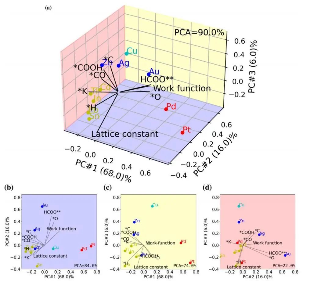 ACS Catalysis：電化學(xué)CO2RR中選擇性生成CO與HCOOH的新見解