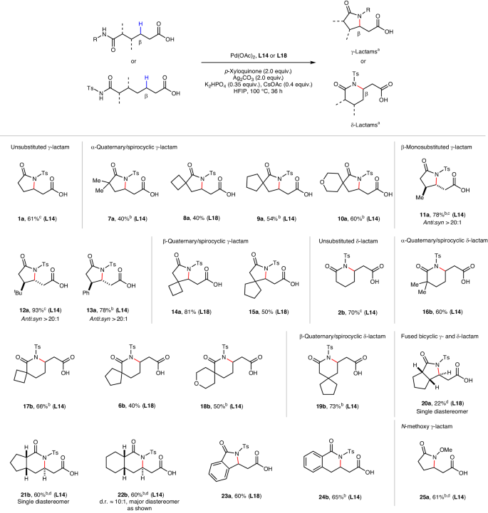 余金權，今日最新Nature Synthesis！