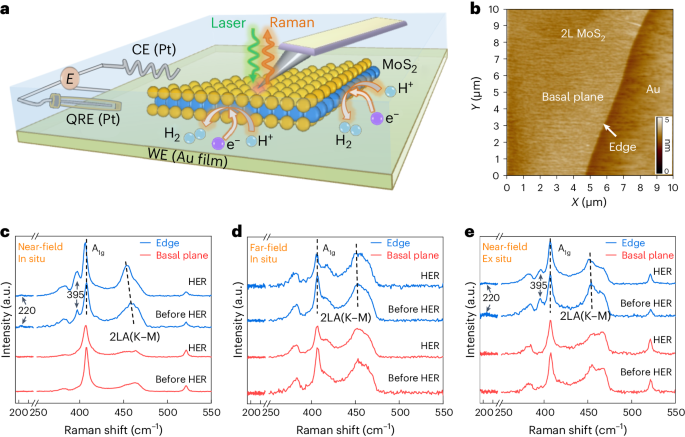 Nature Catalysis：MoS2電催化析氫反應中單個活性位點的可視化結構演變