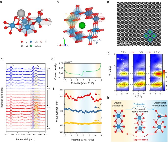 麥立強等最新Nature子刊：電場輔助質子耦合增強析氧反應！