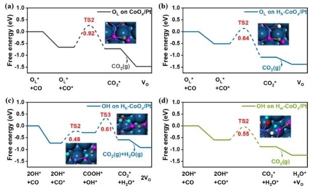傅強/慕仁濤ACS Catalysis：電鏡加光譜，在微觀尺度上研究羥基化氧化物結構對CO氧化的作用