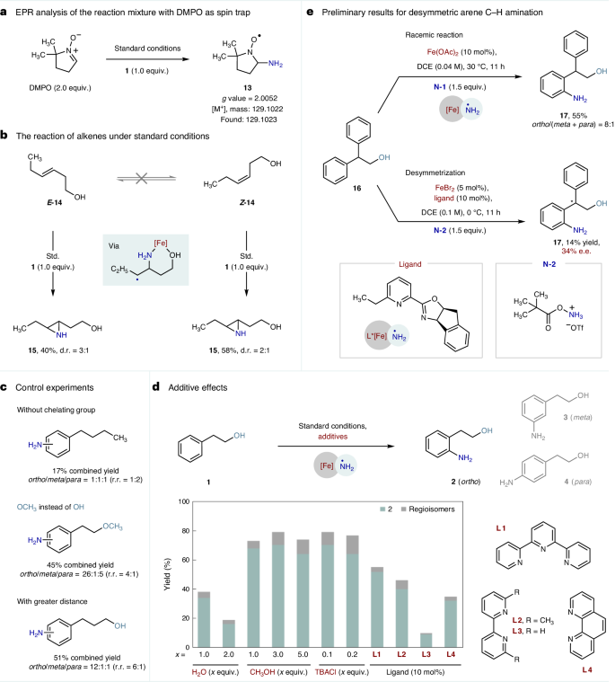 南開大學Nature Catalysis: 鐵-氨基自由基實現高選擇性芳烴C-H胺化反應