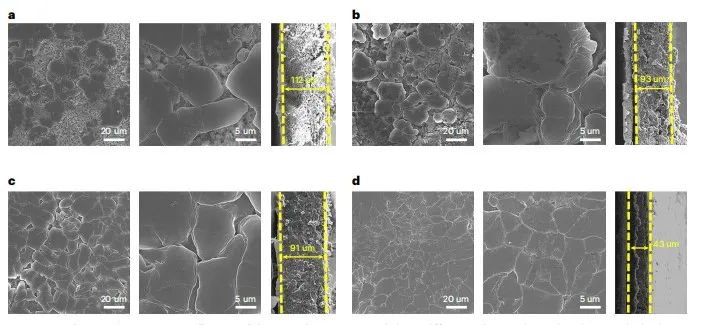 馬里蘭大學王春生團隊，最新Nature子刊！另辟蹊徑實現含氟“自由”