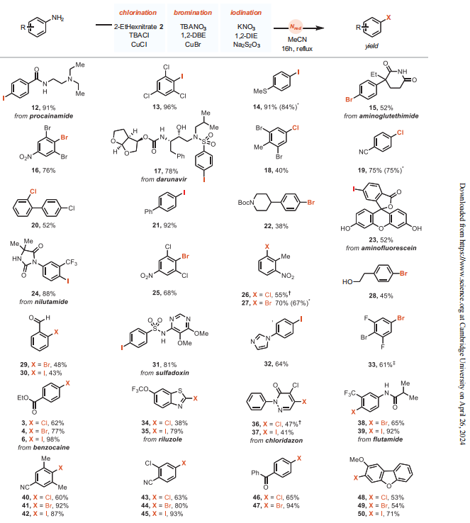 德國馬普所最新Science，破解170年難題！