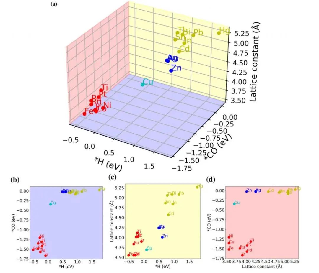 ACS Catalysis：電化學(xué)CO2RR中選擇性生成CO與HCOOH的新見解