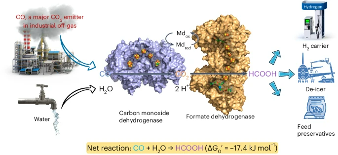 Nature Chemical Engineering：100%選擇性，工業(yè)廢氣合成摩爾級甲酸鹽！