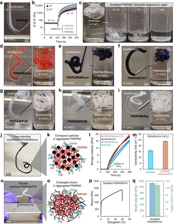 3D打印，最新Nature子刊！