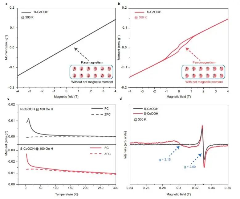 Nature子刊：CoOOH中引入高自旋態(tài)Co3+，顯著提升水氧化活性