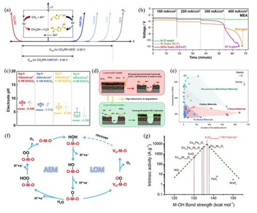 香港中文大學余濟美教授，最新AM綜述：酸性CO2RR電催化劑！