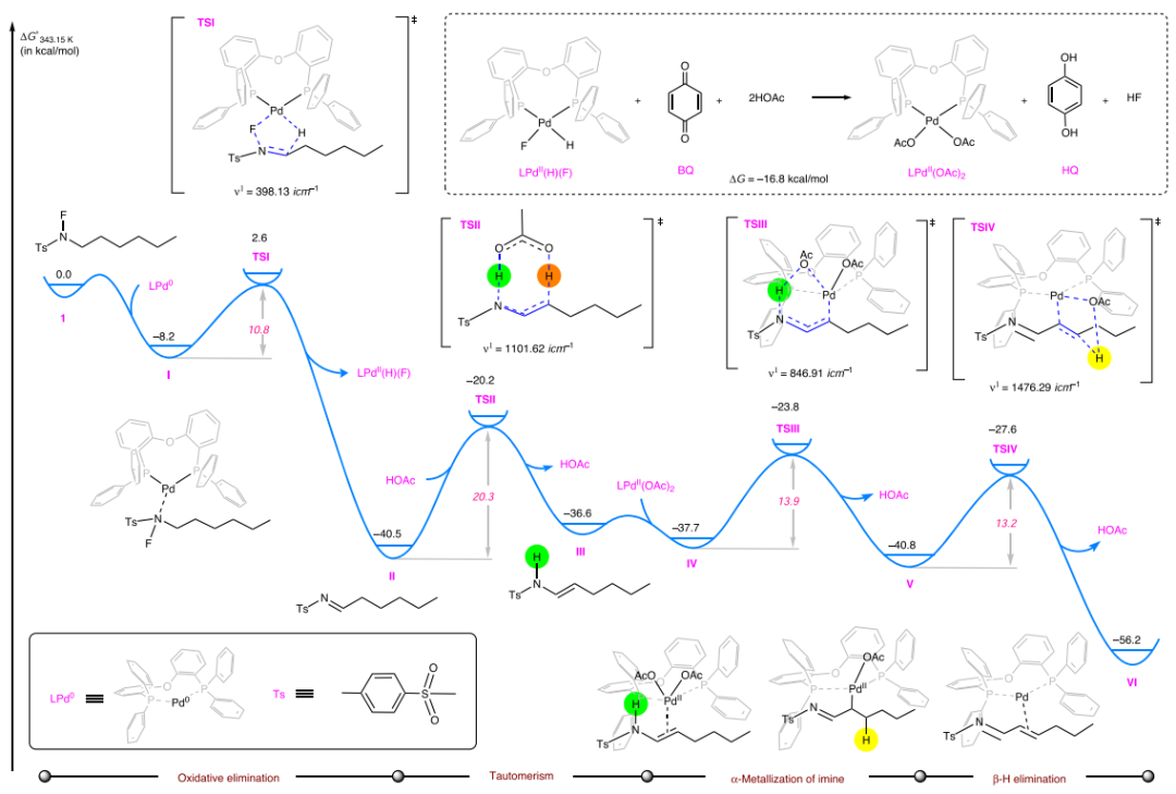 傅俊凱/關威Nature子刊：Pd催化脫氫合成α，β-不飽和亞胺！