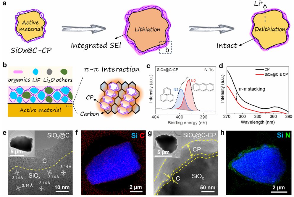 「國家杰青」&「長江學者」，天津大學楊全紅團隊，最新JACS！