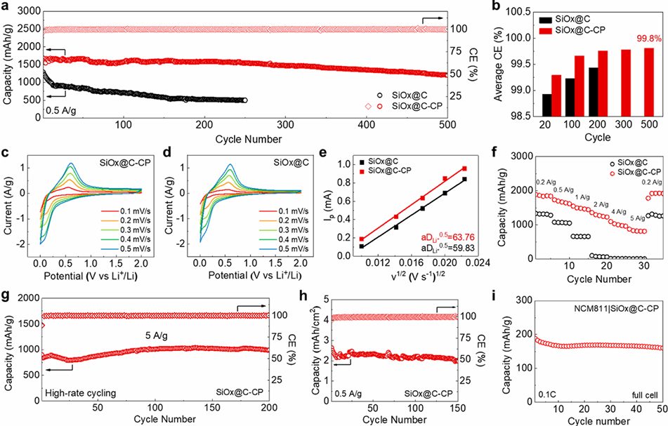 「國家杰青」&「長江學者」，天津大學楊全紅團隊，最新JACS！