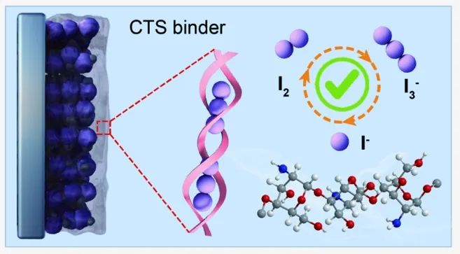 東北師大JACS：Janus粘合劑化學同步增強碘吸附和氧化還原動力學實現可持續水性 Zn-I2電池