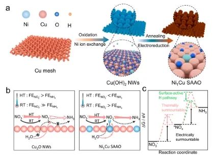 ?余桂華/李盼盼/晉兆宇JACS: 熱耦合電化學策略立大功，顯著增強單原子合金氧化物NO3RR活性