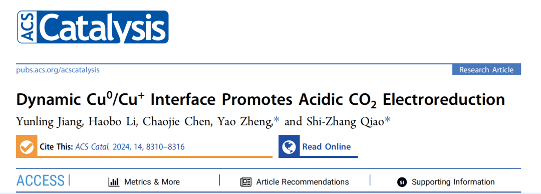 喬世璋?院士課題組，最新ACS Catalysis！