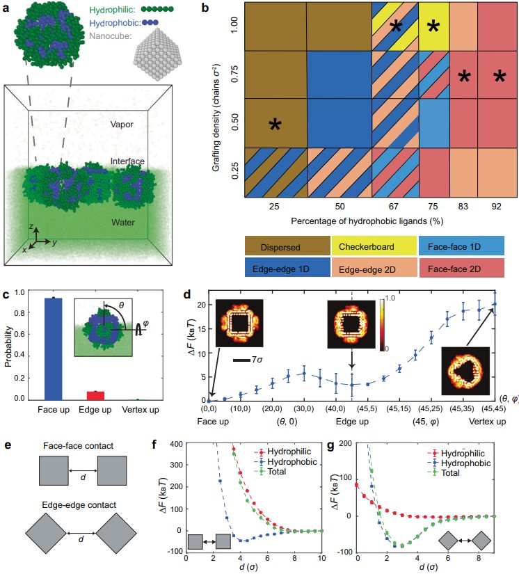 最新Nature子刊：理論計算引導，納米晶自組裝策略！