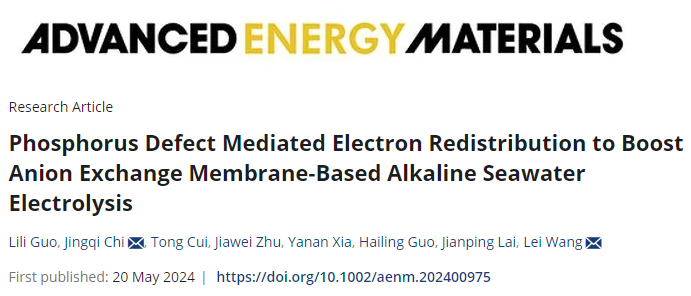 青島科技大學王磊/遲京起，最新AEM！