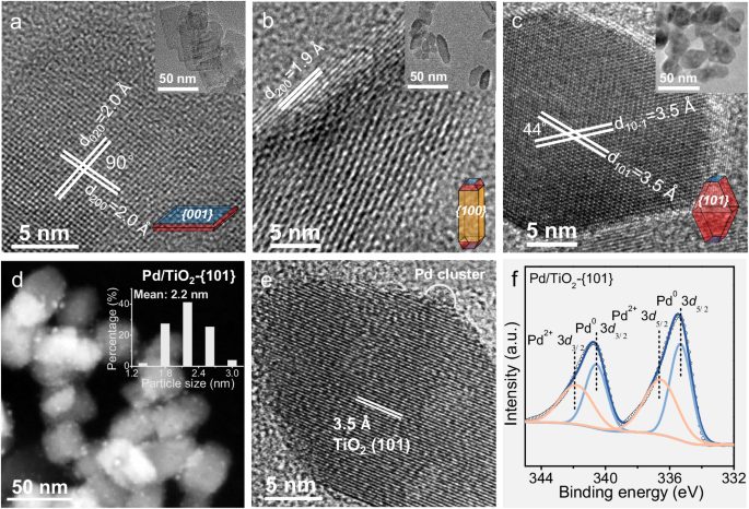 廈門大學「國家杰青」王野團隊，最新Nature子刊！