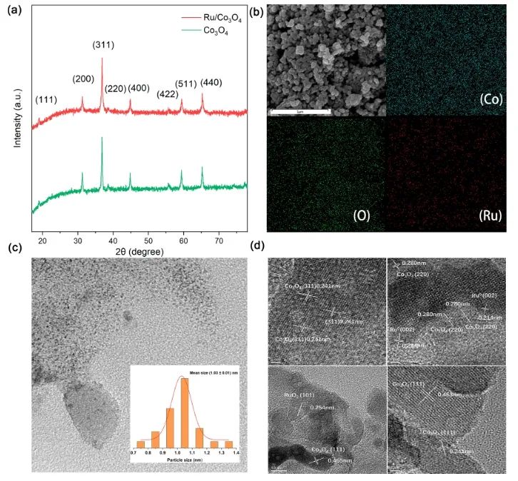 ?川大ACS Catal.：Run+/Ru0耦合氧空位，催化生物質基糖共生產甘油酸和乙醇酸