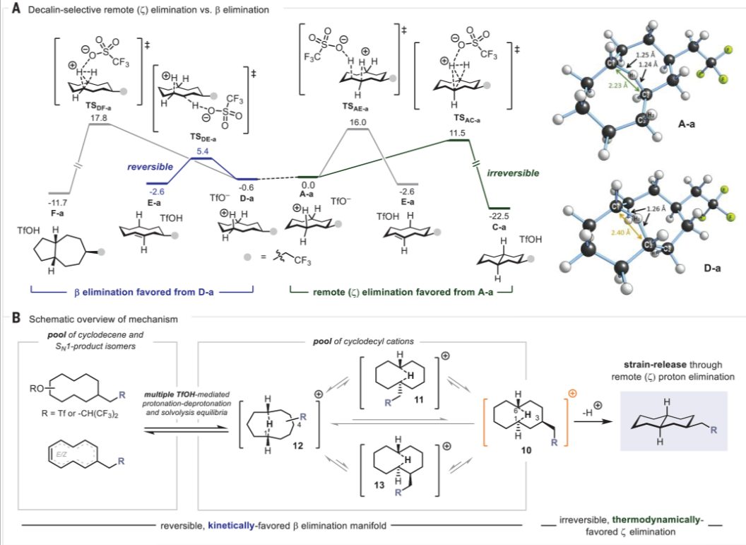 牛！他，今年首篇Nature之后，再發第二篇Science！已手握3篇正刊！