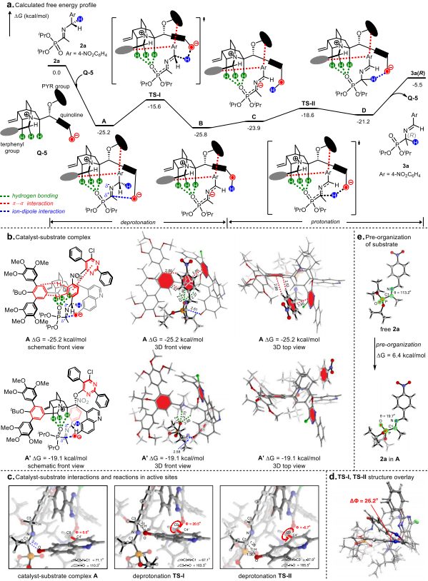 西湖大學鄧力，最新JACS：手性α-氨基膦酸酯的合成！