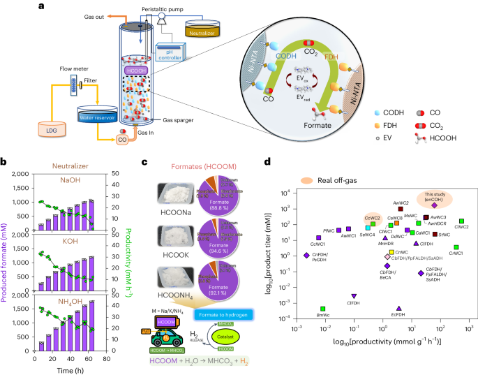 Nature Chemical Engineering：100%選擇性，工業(yè)廢氣合成摩爾級甲酸鹽！