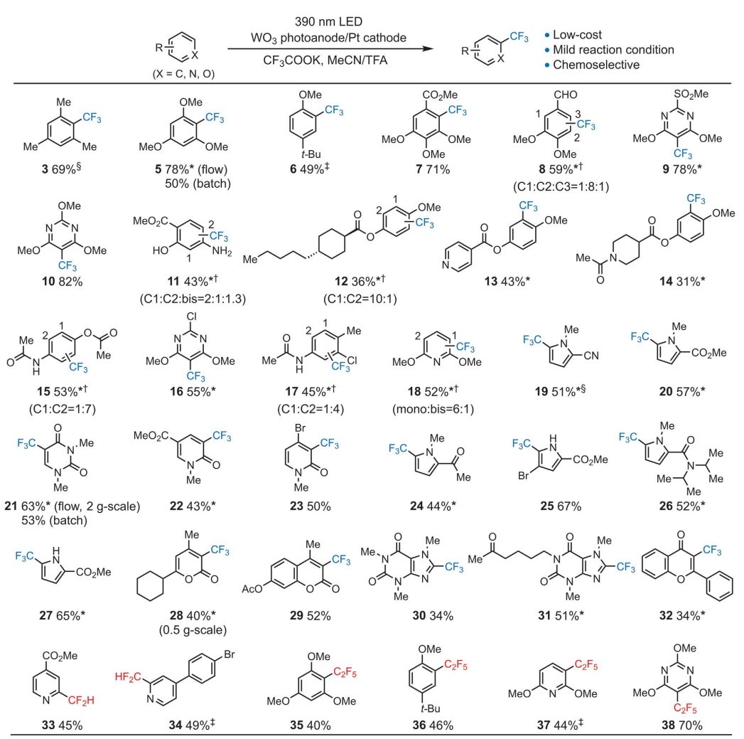 光電催化，最新Science！