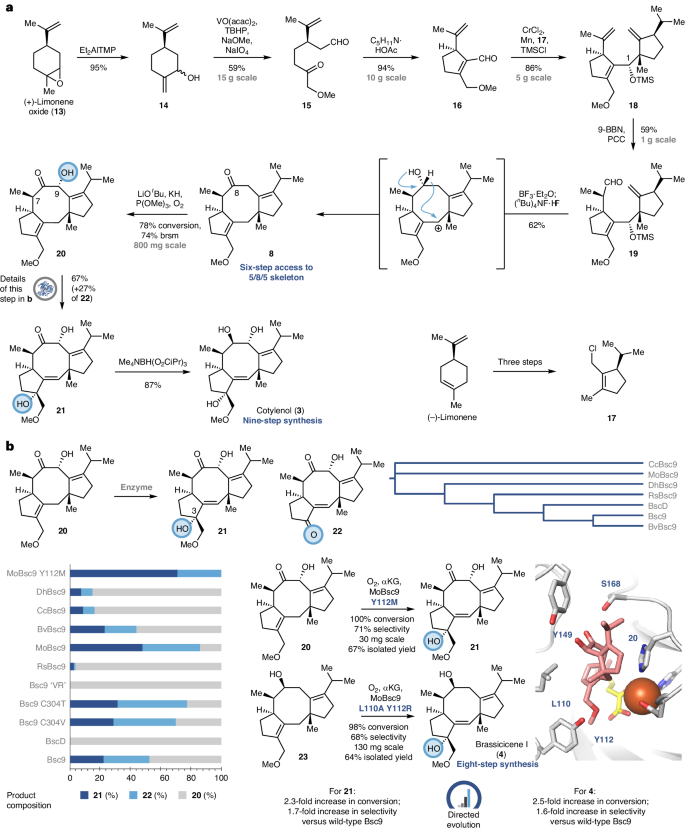 兩個(gè)作者，一篇Nature Chemistry！