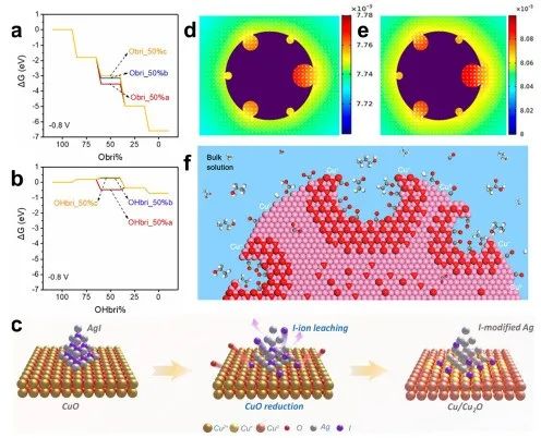 IF=46.2！海南大學田新龍/鄧培林，最新Chemical Society Reviews綜述！