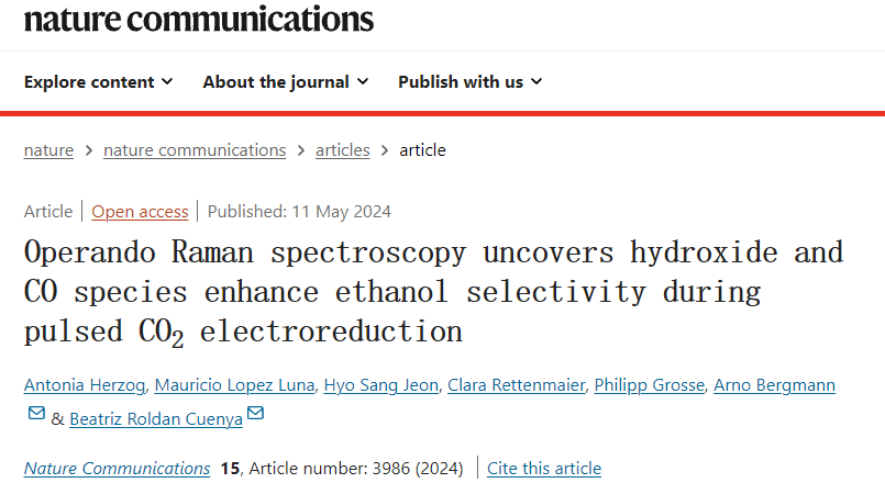 最新Nature子刊：SERS探究脈沖CO2電還原機理！