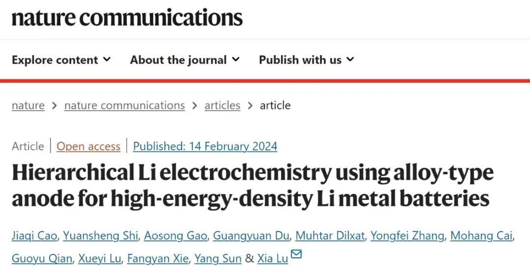 中大Nature子刊：合金負極的分層鋰電化學用于高能鋰金屬電池