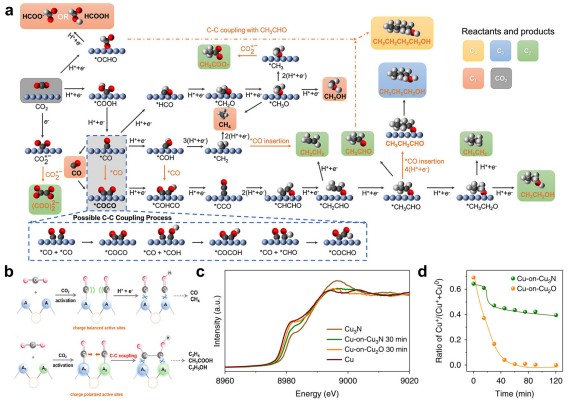 IF=46.2！海南大學田新龍/鄧培林，最新Chemical Society Reviews綜述！