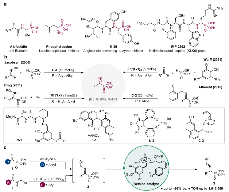 西湖大學鄧力，最新JACS：手性α-氨基膦酸酯的合成！
