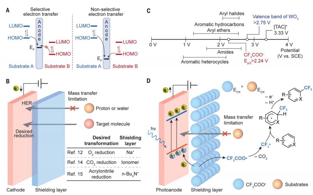 光電催化，最新Science！