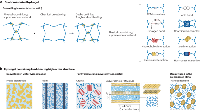 IF=83.5 頂級綜述！一作+通訊，水凝膠最新Nature Reviews Materials！