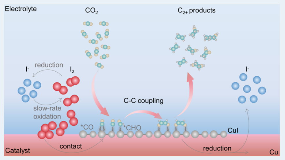 喬世璋?院士課題組，最新ACS Catalysis！