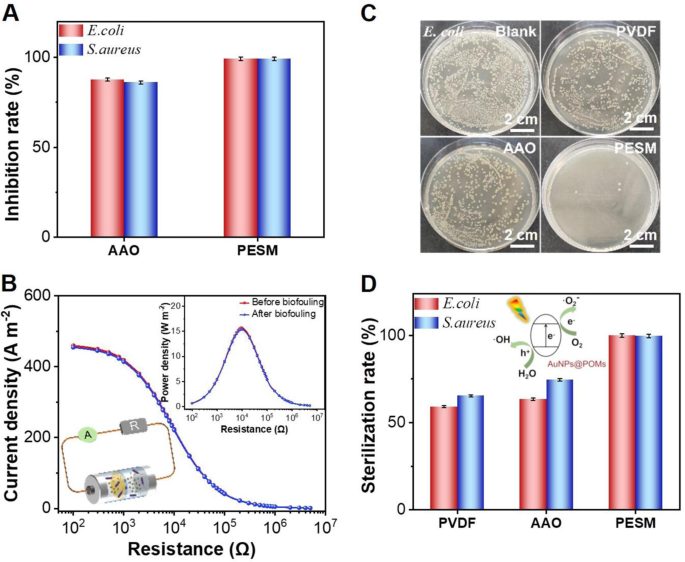 「國家優青」&「國家杰青」聯手，最新Nature子刊！