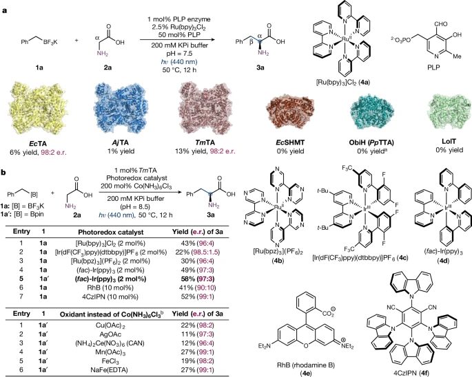 楊揚/劉鵬強強聯合！Science之后，再發Nature！
