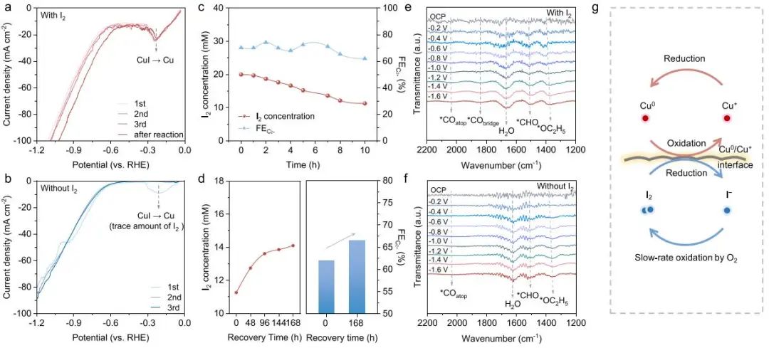 他，天大校友，澳大利亞科學院院士，頂刊540+，被引12.5W+！再添一篇頂刊！
