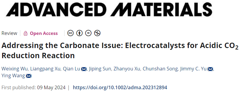香港中文大學余濟美教授，最新AM綜述：酸性CO2RR電催化劑！