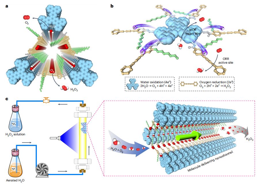COFs大咖！新加坡國立江東林最新Nature Synthesis！
