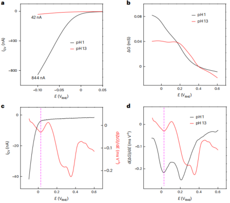 神仙眷侶！段鑲鋒&黃昱夫婦攜手，最新Nature Catalysis！
